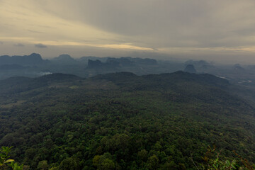 panoramic background of high mountain scenery, overlooking the atmosphere of the sea, trees and wind blowing in a cool blur, spontaneous beauty