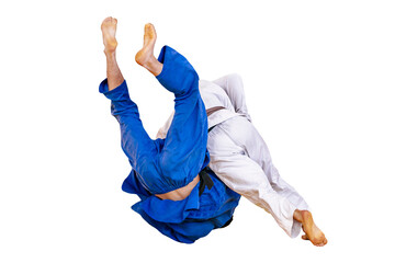 judo fighter is thrown for an ippon