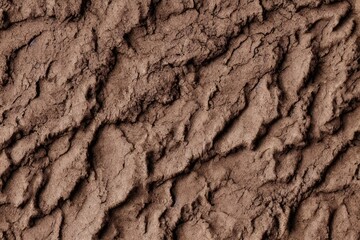 High-Resolution Image of Mud Cracks Texture Background Showcasing the Natural and Striking Characteristics of Earth, Perfect for Adding a Touch of Authenticity to any Design