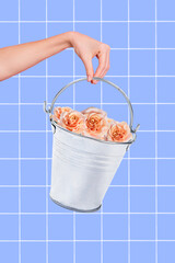 Composite collage photo artwork of advertisement hand hold bucket pink beige roses delivery fresh flowers isolated on plaid blue background © deagreez
