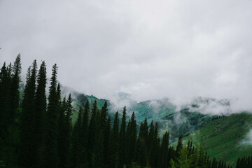 fog in the mountains