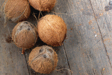 piece of coconut for made virgin oil cold pressed