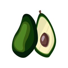 Two halves of fresh avocado vector illustration. Exotic summer fruit for vitamin menu. Fresh tropical food isolated on white background. Superfood, nature concept