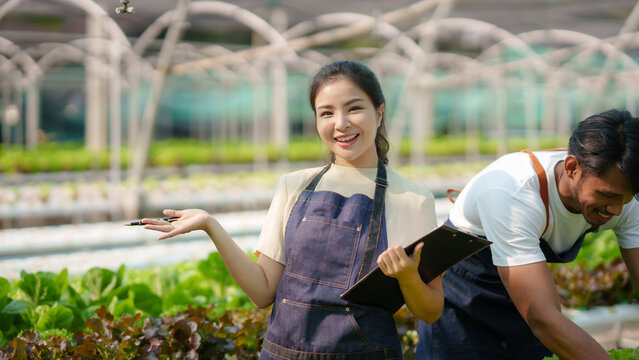 Hydroponics vegetable farm. Young asian woman smile harvesting vegetables from her hydroponics farm. Concept of growing organic vegetables and health food.
