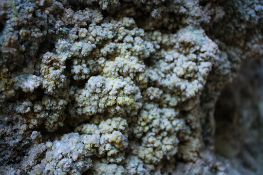 Foto di cristalli minerali su roccia di onice, con cristalli di diverse forme e dimensioni sulla superficie scura. Il contrasto crea un'immagine affascinante e suggestiva.