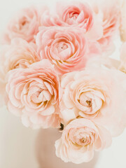 Bouquet pale pink ranunculus flowers in vase on light background
