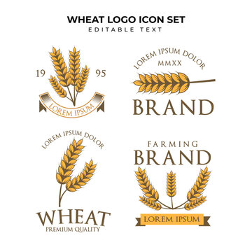wheat logo illustration with editable text for your business or wheat brand