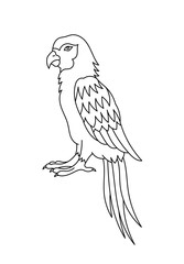 Ara macaws parrots bird. Editable outline stroke. Vector line illustration.