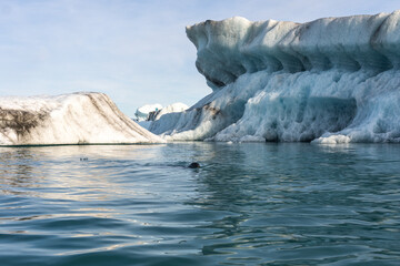 Iceberg in J&ouml;kuls&aacute;rl&oacute;n lagoom, Iceland