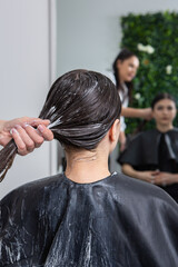 Hairdresser applies a hair mask to straight black hair. Hair care at the beauty salon.