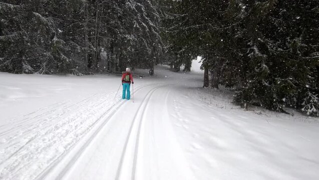 Travelling sur une skieuse de fond qui descend une piste sous la neige dans la for&ecirc;t