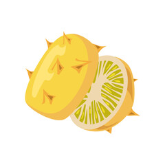 Fresh horned melon or kiwano vector illustration. Exotic summer fruit for vitamin menu. Fresh tropical food isolated on white background. Superfood, nature concept