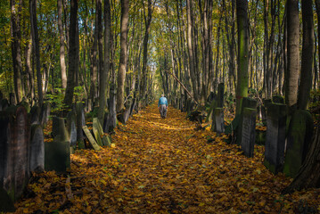 Old tombs in Jewish cementary in Warsaw, Poland in autumn foliage.