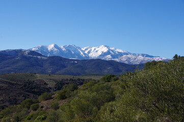 Naklejka premium montagne du Canigou en neige dans les Pyrénées