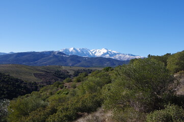 montagne du Canigou en neige dans les Pyrénées