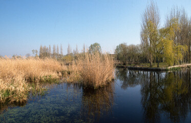 Parc naturel régional de Brière, 44, Loire Atlantique, France