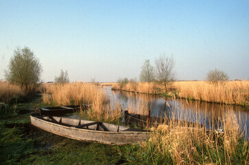 Parc naturel régional de Brière, 44, Loire Atlantique, France