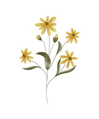 Vector sunflower isolated. Botanical poser design. 