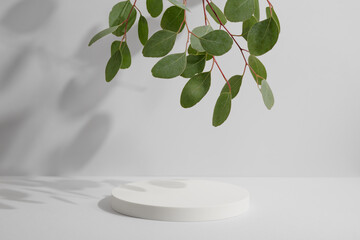 Empty white round podium and natural green eucalyptus branch with shadows on light grey background....