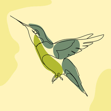 Illustration of a bird, Colibri hummingbird  that flies in flat style or one line style in yellow background