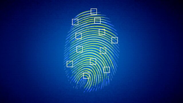 Scan of a fingerprint with search for different identification points