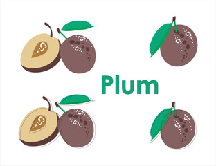 Flat  vector plum with line. Plums on white background