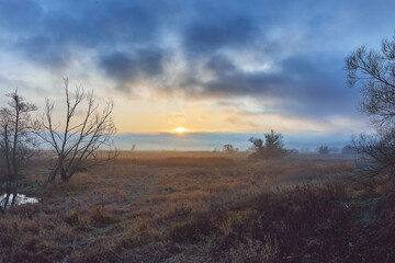 Landschaft zum Sonnenaufgang mit Bäumen und hohem Gras und Nebel