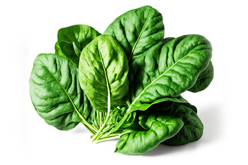Fototapeta na wymiar Green spinach leaves on white background