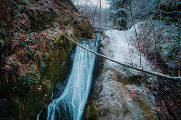 waterfall in the forest