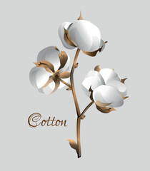otton decorative branch. Design element for wallpapers, backgrounds, textile, postcard.