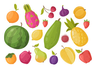 Cartoon summer fruits. Pineapple, watermelon, papaya and persimmon, fresh organic vitamin fruits vegetarian food vector illustration set