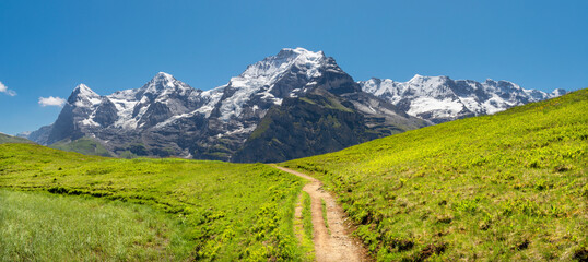 The panorma of Bernese alps with the Monch, Eiger and Jungfrau and too Gletscherhorn, Ebenfluh, Mittaghorn  Grosshorn peaks over the alps meadows from Hinteres Lauterbrunnen valley.