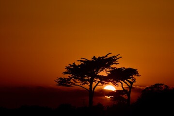 Fototapeta na wymiar Sunset Silhouette