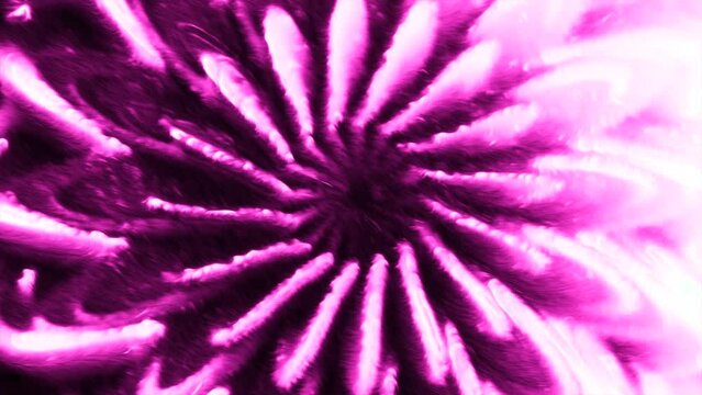Abstract kaleidoscopic patten with transforming flowers. Motion. Blurred spinning flowers with petals.