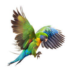 Beautiful colorful parrot on transparent background for decorating projects. AI generative