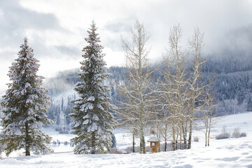 Snowy mountainside Vail with outdoor treelights 
