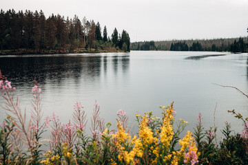 Fototapeta Scenic view of lake in the nationalpark obraz