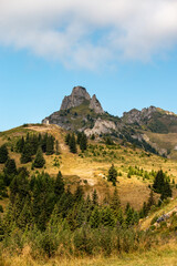 Alpine plains, fir trees and mountains in horizon. Explore new things and feel new experiences hiking on the mountain.