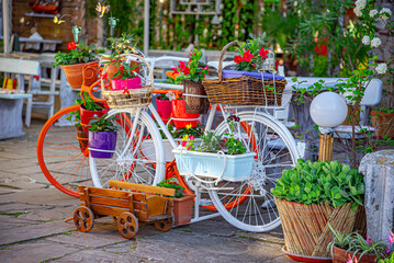Flower garden in the form of a bicycle. Decor.
