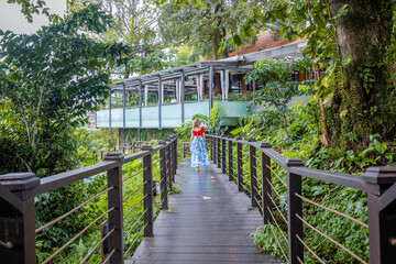Woman in dress walking on wooden bridge among green tropical forest