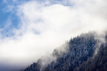 Snow and Cloud covered Canadian Nature Landscape Background. Winter Season in Squamish, British Columbia, Canada. Sunny Sky