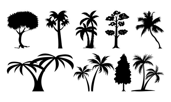 Tree Set of plant silhouette, tree Icon Set Vector Black Design.