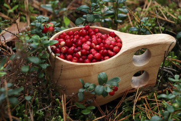 Many tasty ripe lingonberries in wooden cup outdoors, closeup