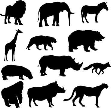 set of animals silhouettes. animal illustration collection. wild animals collection.
