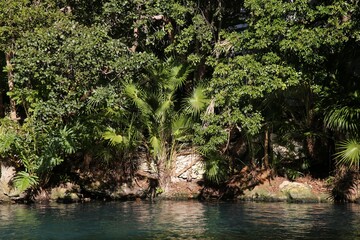 Picturesque view of beautiful lake in jungle