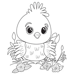 chicken on grass for childrens coloring book,character vector