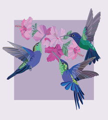 Poster botanical illustration of hummingbird with exotic flowers