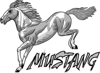 A drawing depicting a wild horse mustang.