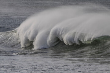 Big breaking sea wave with spray
