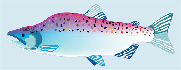 Pink Salmon on Neutral Fon